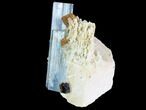 Gorgeous Aquamarine Crystal with Black Tourmaline & Feldspar - Namibia #92702-2